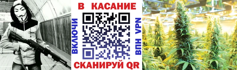 Наркота Новокузнецк Галлюциногенные грибы  Марихуана  OMG ТОР  Гашиш  Меф 
