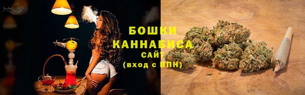 ПСИЛОЦИБИНОВЫЕ ГРИБЫ Абаза