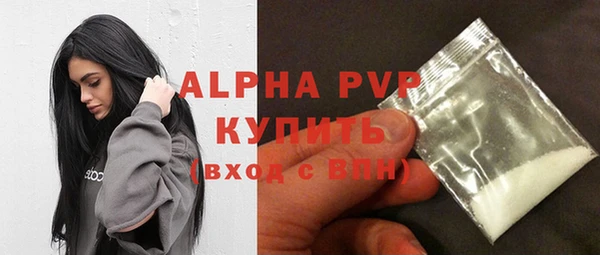 ПСИЛОЦИБИНОВЫЕ ГРИБЫ Абаза