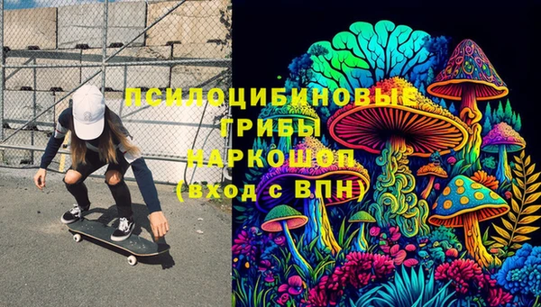 шишки Нефтегорск