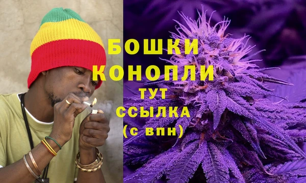 прущие крисы Алзамай