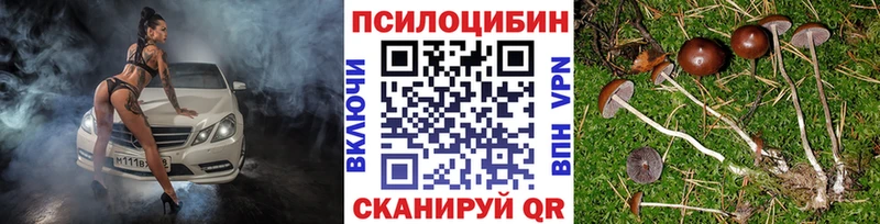 Псилоцибиновые грибы ЛСД  купить   Новокузнецк 
