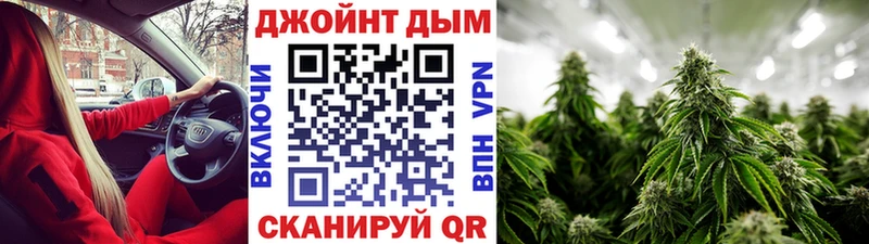 Шишки марихуана семена Новокузнецк